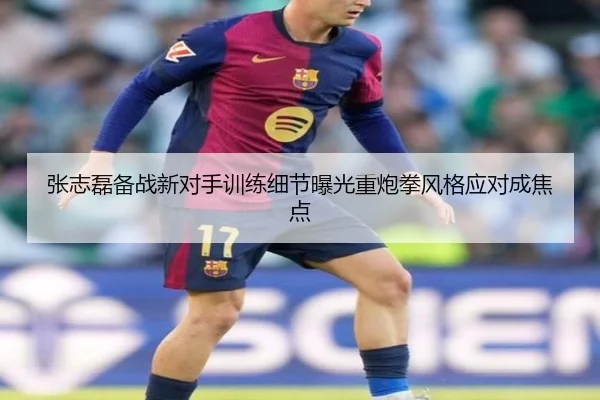 张志磊备战新对手训练细节曝光重炮拳风格应对成焦点